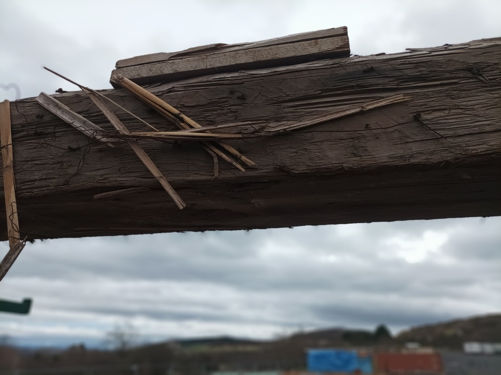 Bois issu de charpente clouté