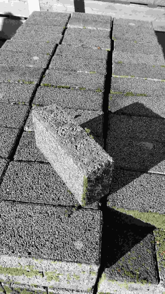 Pavé terrasse carrossable grise rectangulaire