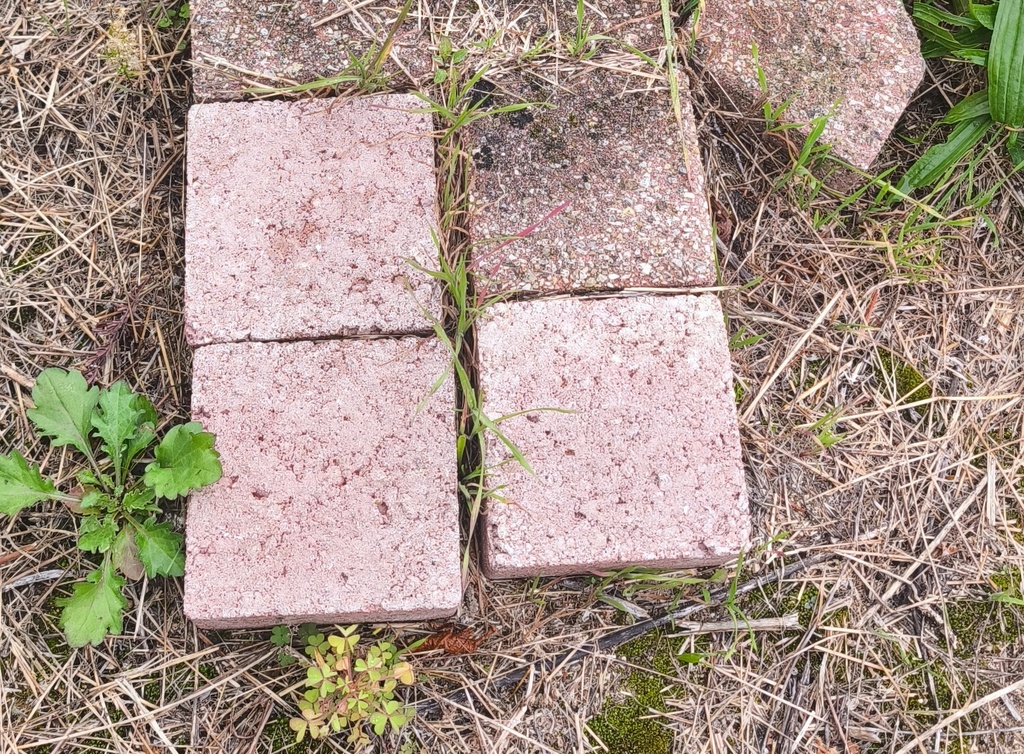 Pavé Autobloquant (Carré)