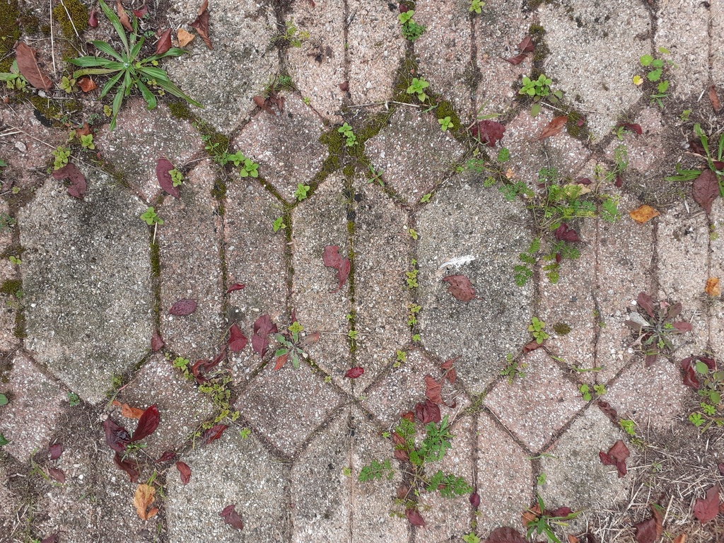 Pavé Autobloquant (Losange)