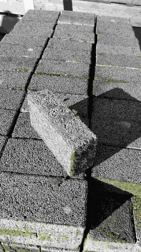 [#743] Pavé terrasse carrossable grise rectangulaire