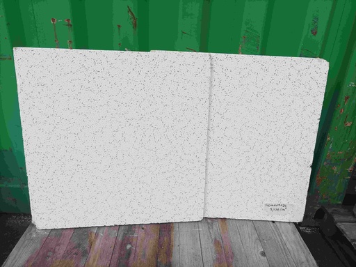 [260114CLFD024] Dalle de faux plafond mouchetée