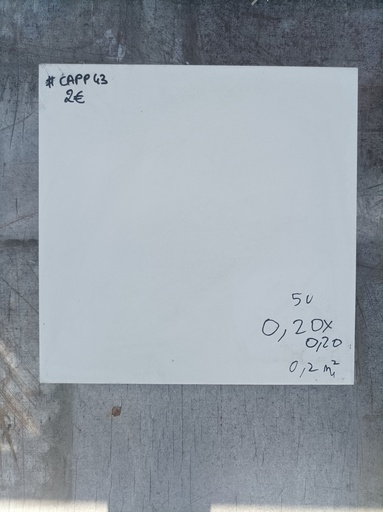 [CAP43] Lots de 0,2m² carrelage 0,20x0,20